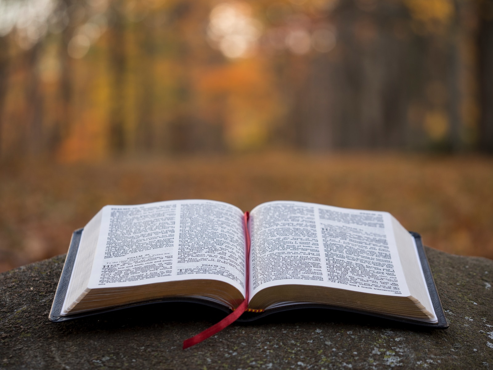 Descubre 10 Nombres Bíblicos Asombrosos que No Conocías